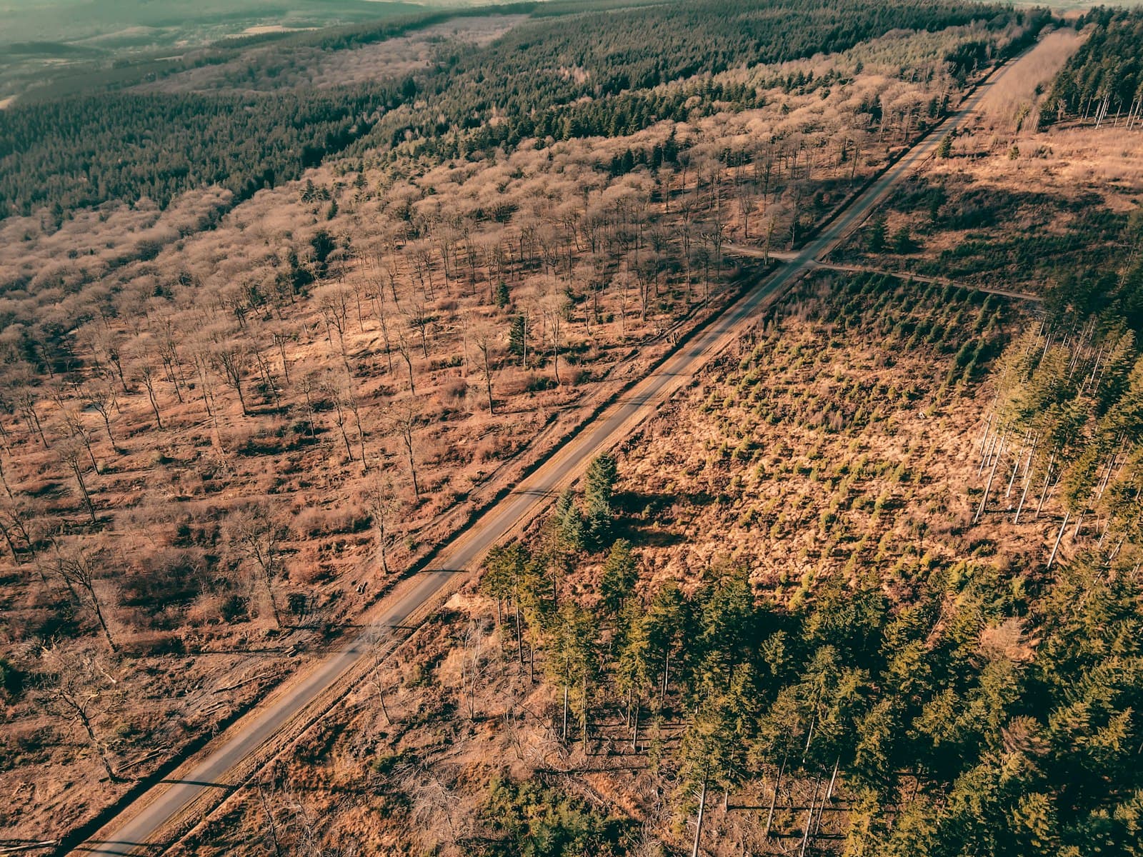 Aerial view of forest giving way to cleared brown fields