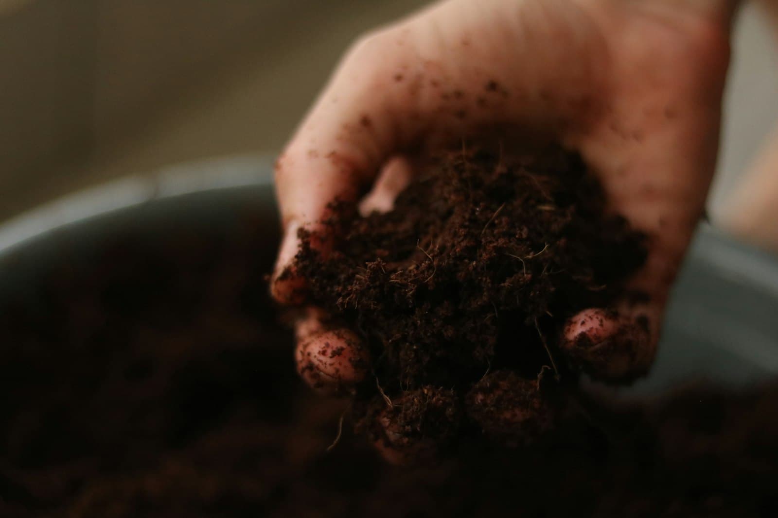 A hand holding a handful of soil