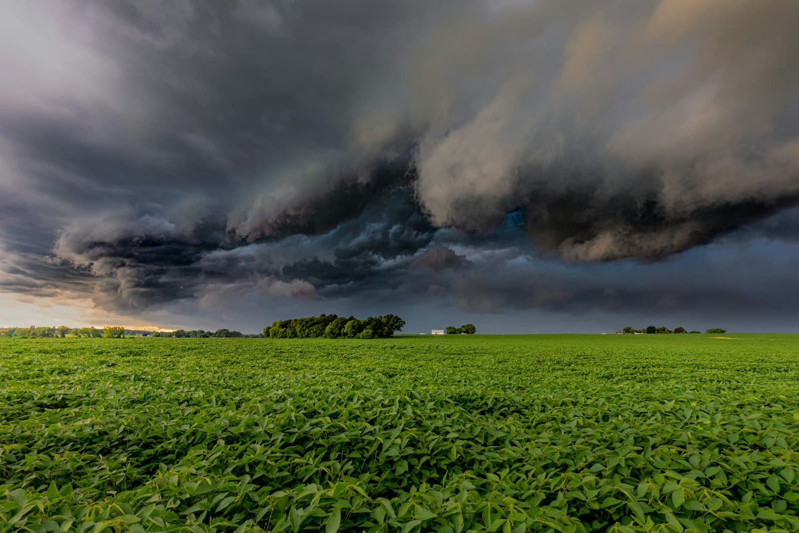 A dark storm cloud over a field of crops